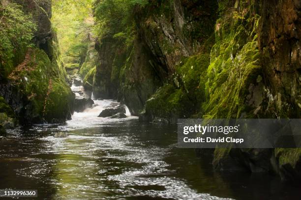 fairy glen, snowdonia, wales - watercourse stock pictures, royalty-free photos & images