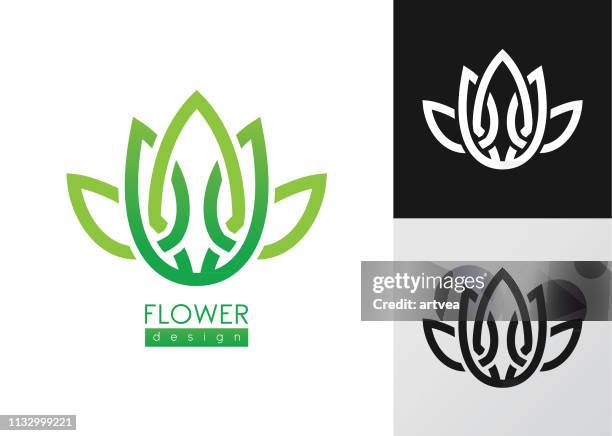 bildbanksillustrationer, clip art samt tecknat material och ikoner med creative blommor inspiration vektor logo design mall. - näckros