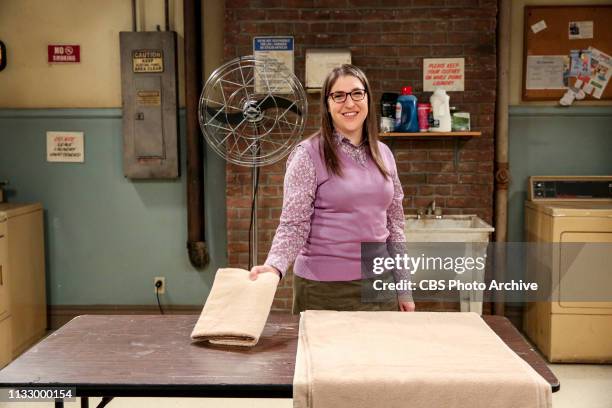 The Laureate Accumulation" -- Pictured: Amy Farrah Fowler . When competitors Pemberton and Campbell charm America on a publicity tour, Sheldon and...