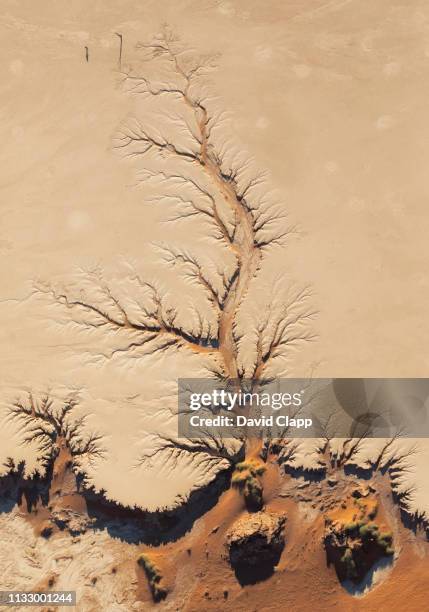 the namib desert from the air, sossusvlei, namibia, africa - dead vlei namibia fotografías e imágenes de stock