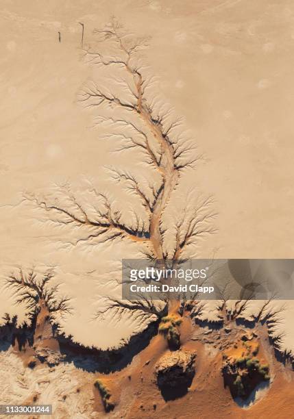 the namib desert from the air, sossusvlei, namibia, africa - dead vlei namibia ストックフォトと画像