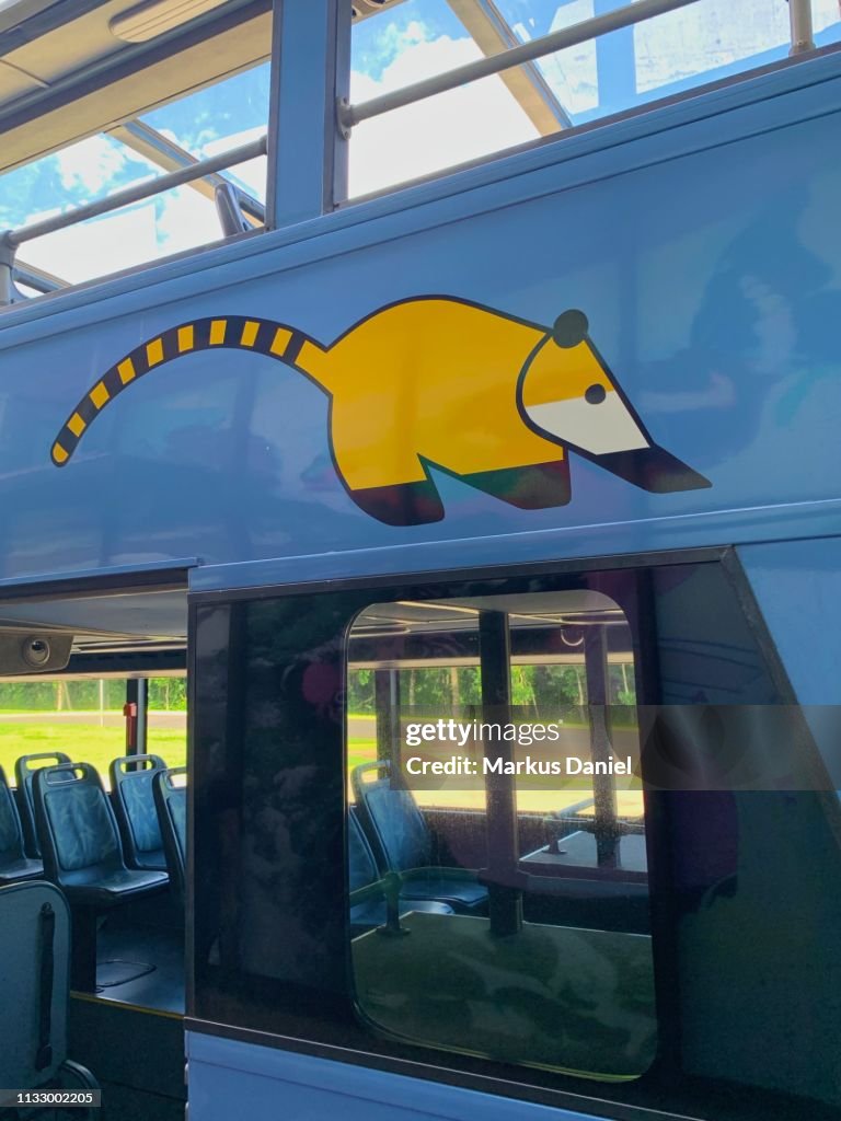 Iguazu Falls (Cataratas do Iguaçu, Brazil) Bus transportation Coati Animal Design Closeup