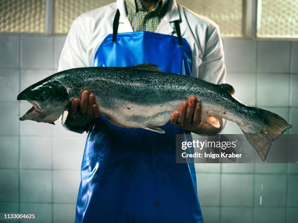 fishmonger holding a salmon - fishmonger stock pictures, royalty-free photos & images