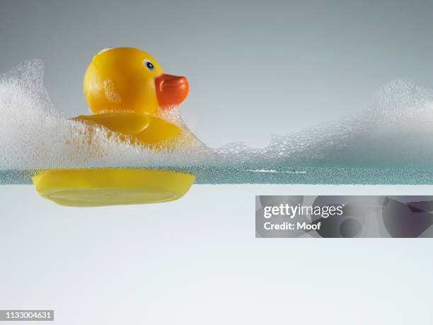 rubber duck floating in soapy water - rubber duck stock pictures, royalty-free photos & images