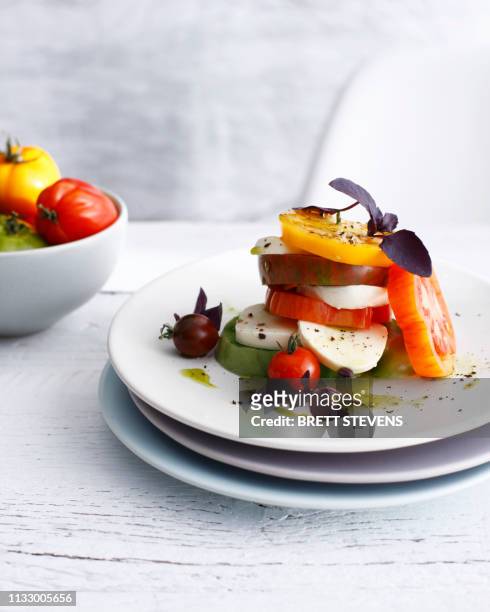 plate of heirloom tomatoes and cheese - mozzarella fotografías e imágenes de stock