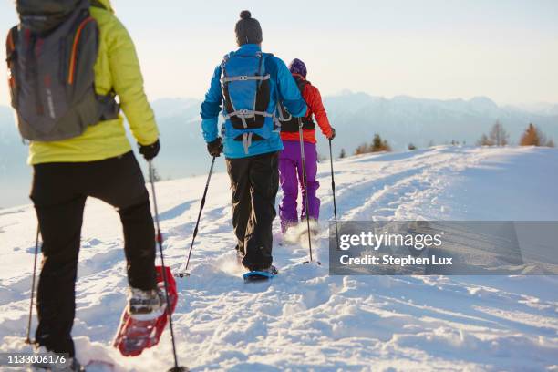 three mid adult friends snowshoeing in dolomite mountains, eisack valley, south tyrol, italy - racchetta da neve attrezzatura sportiva foto e immagini stock