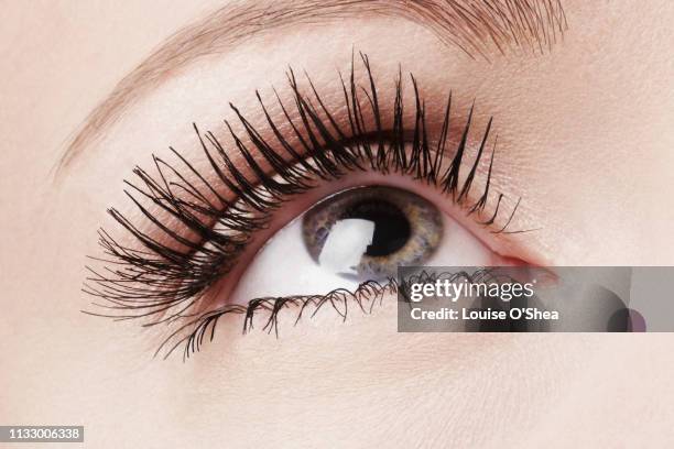close up of female eye - rímel imagens e fotografias de stock