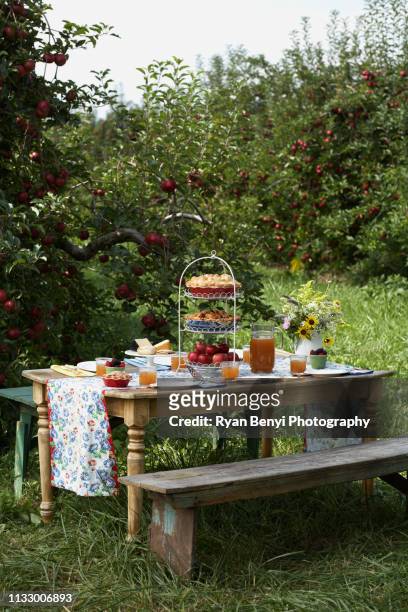 picnic table in apple orchard - garden table stock-fotos und bilder