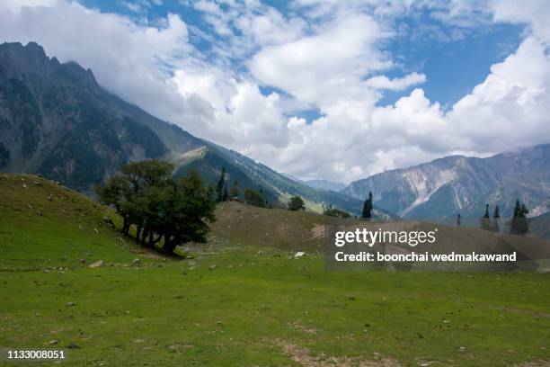 beautiful mountain landscape of sonamarg, jammu and kashmir state, india - pahalgam stock pictures, royalty-free photos & images