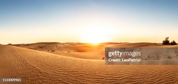 desierto en los emiratos árabes unidos al atardecer - duna de arena fotografías e imágenes de stock