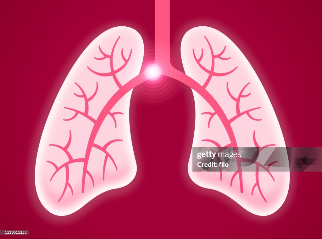 Pulmonary Embolism Human Lungs