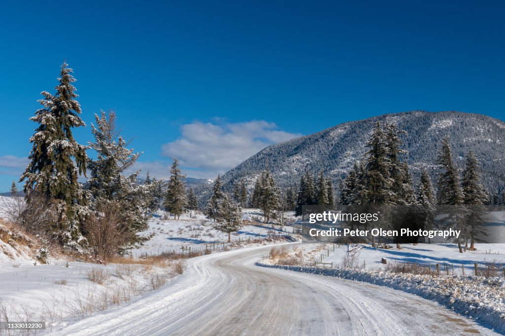 Country Road in Winter