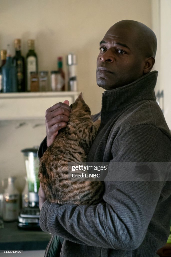 The Blacklist - Season 6