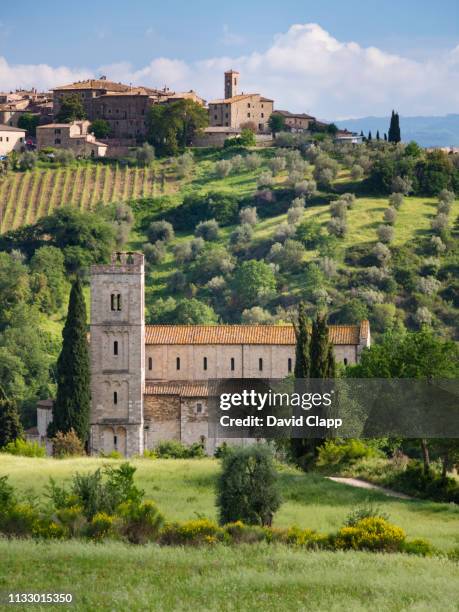 abbey of sant'antimo in tuscany, italy - monastero foto e immagini stock