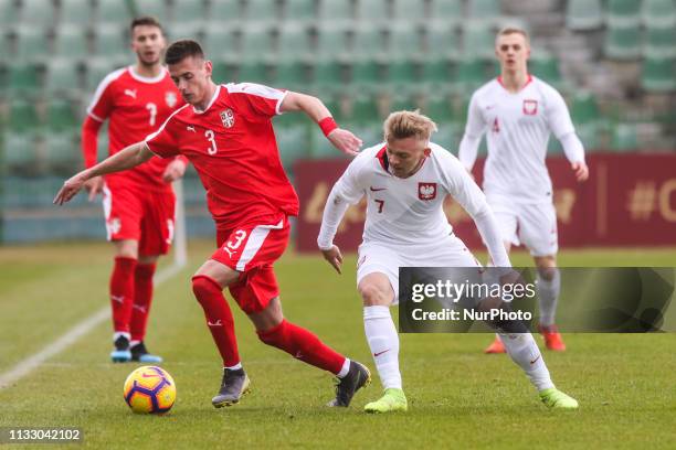 Kamil Jozwiak ,Aleksa Terzic during the International Friendly match between Poland v Serbia in Grodzisk Wielkopolski , Poland, on March 26, 2019.