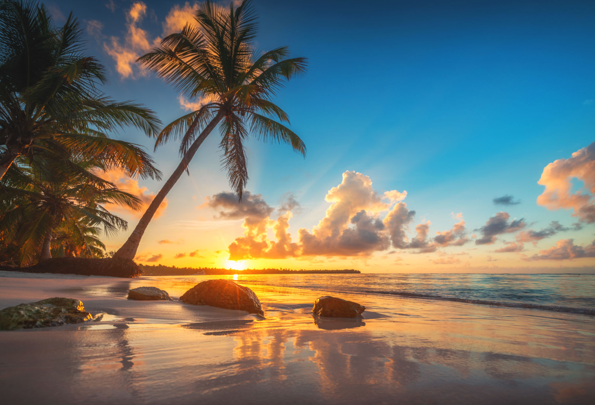tropical landscape