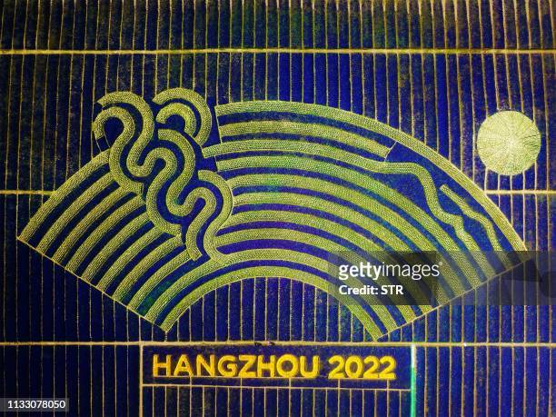 This aerial photo taken on March 26, 2019 shows different coloured flowers used to create the logo of the 19th Asian Games in Hangzhou in China's...