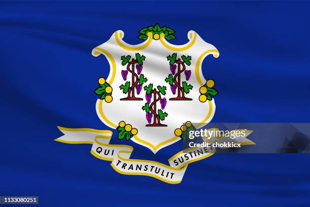 stockillustraties, clipart, cartoons en iconen met connecticut wuivende vlag - connecticut