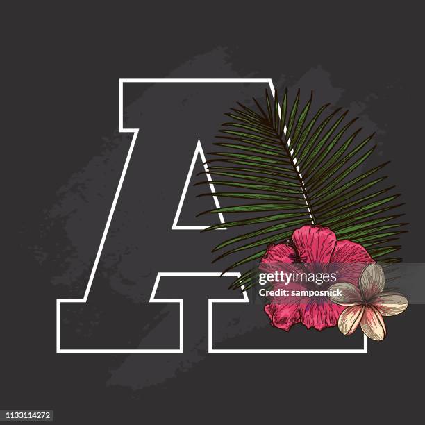 ilustraciones, imágenes clip art, dibujos animados e iconos de stock de pizarra tropical planta floral gota cap a - letra a con flores vector a