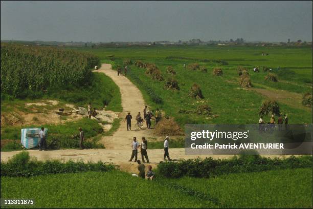 North Korea: A Journey Into The Country Of Forbidden Photographs - On August, 2005 - In North Korea - Here, North Koreans In The Countryside, In Anju...