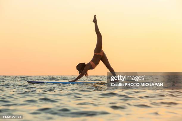 a young woman is doing sup yoga on the paddle board at the ocean. - surfers in the sea at sunset stock pictures, royalty-free photos & images