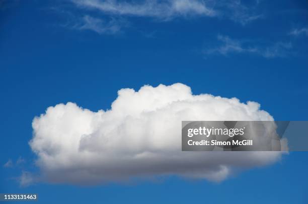 fluffy cloud in a sunny blue sky - cumulus bildbanksfoton och bilder