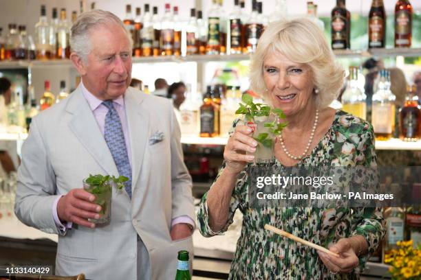 The Prince of Wales and Duchess of Cornwall make their own mojito cocktails during a visit to a paladar, a private restaurant, in Havana, Cuba to...