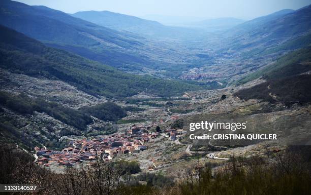 Blooming cherry trees are pictured along the Jerte valley from the Tornavacas pass in Caceres province on March 26, 2019.