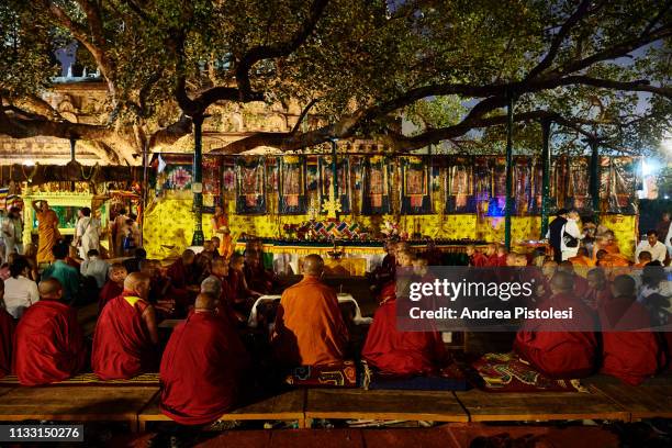 Munks Tree 10,961 India Monks Stock Photos, High-Res Pictures, and Images - Getty ...
