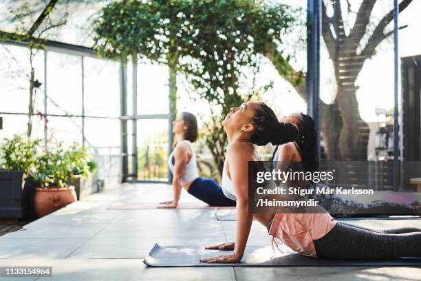 woman doing upward facing dog pose with friends - yoga studio stock pictures, royalty-free photos & images