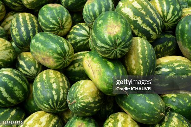 water melons bolivia - entassé - fotografias e filmes do acervo