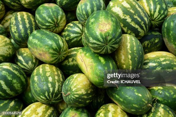 water melons bolivia - hygiène alimentaire bildbanksfoton och bilder