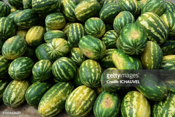 water melons bolivia - entassé stock-fotos und bilder