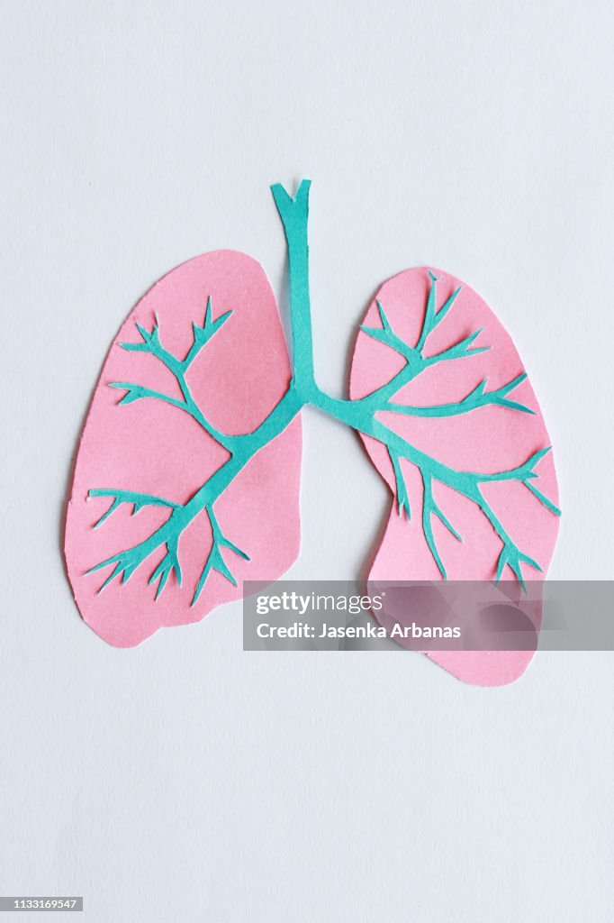 Trachea and lungs