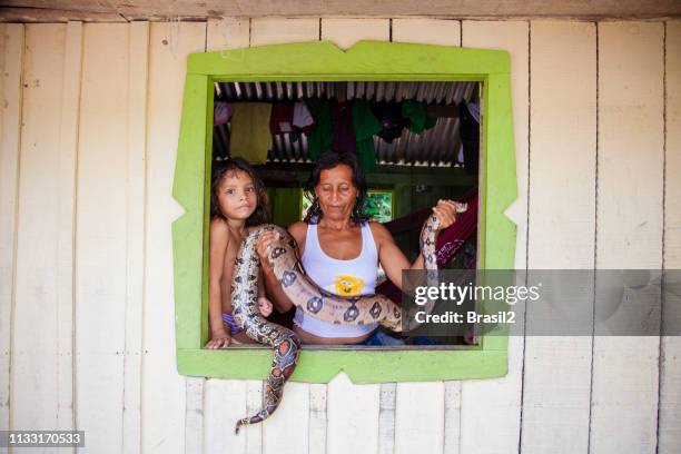 les populations locales en amazonie - amazon rainforest snakes photos et images de collection