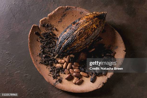 variety of cocoa beans - polvo de cacao fotografías e imágenes de stock