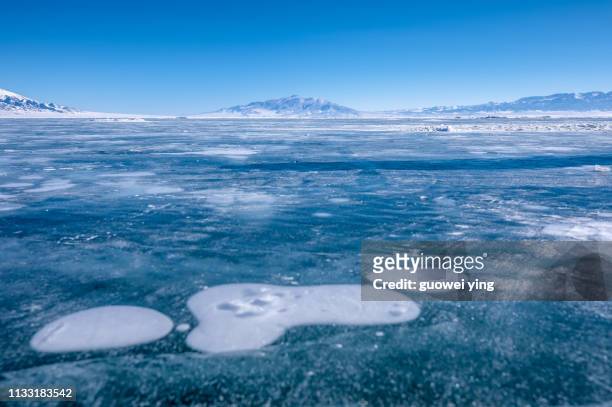 ice lake - ice bubbles - 湖 stock-fotos und bilder