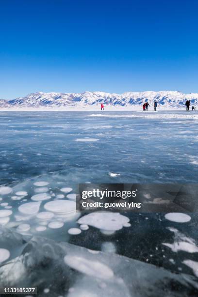 ice lake - ice bubbles - 環境 foto e immagini stock