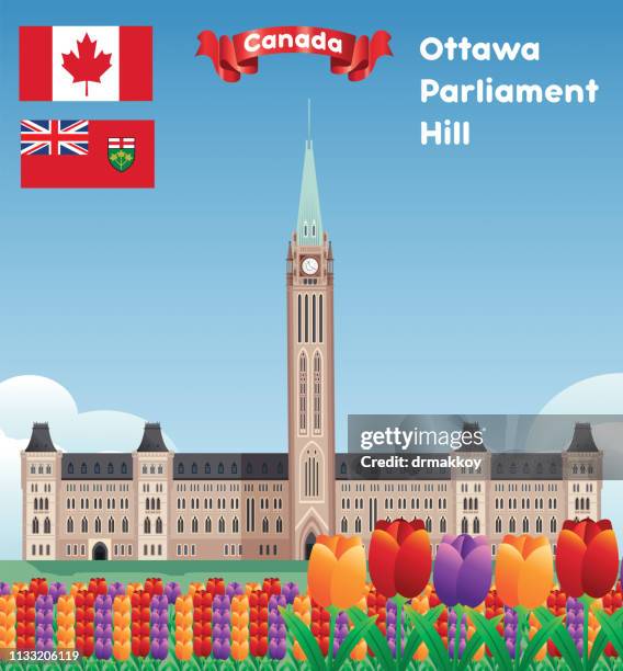 parliament hill - ottawa tulips stock illustrations