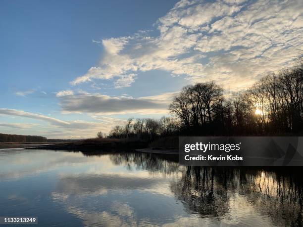 sunset on the island ziegenwerder in frankfurt (oder), brandenburg, germany. - schattig stock pictures, royalty-free photos & images