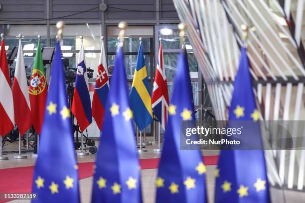 Flags and flags of the European countries state member next to the red carpet where EU leaders arrive in the EU in the European Council building...