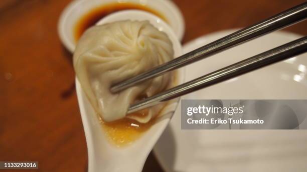 dimsum dumplings, xiaolongbao with chinese spoon and chopsticks - 熱さ imagens e fotografias de stock