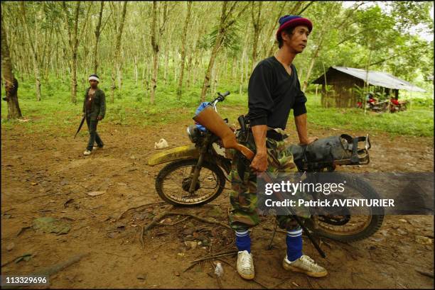 Thai Buddhists Under Siege - On December 9Th, 2004 - In Thailand - Here, Some 'Defence Volunteers' Stand Guard At A Heveas Plantation Belonging To A...