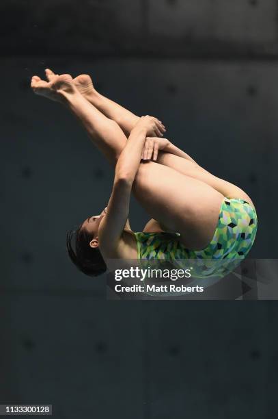 Maddison Keeney of Australia competes during the Women's 3m Springboard semifinal on day three of the FINA Diving World Cup Sagamihara at Sagamihara...