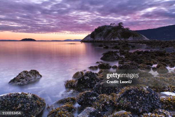 whytecliff park sunset in winter, west vancouver, bc, canada - northpark stock pictures, royalty-free photos & images