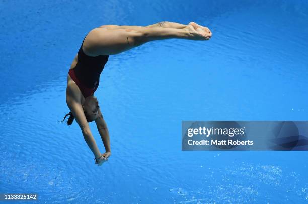 Pamela Ware of Canada competes during the Women's 3m Springboard Final on day three of the FINA Diving World Cup Sagamihara at Sagamihara Green Pool...