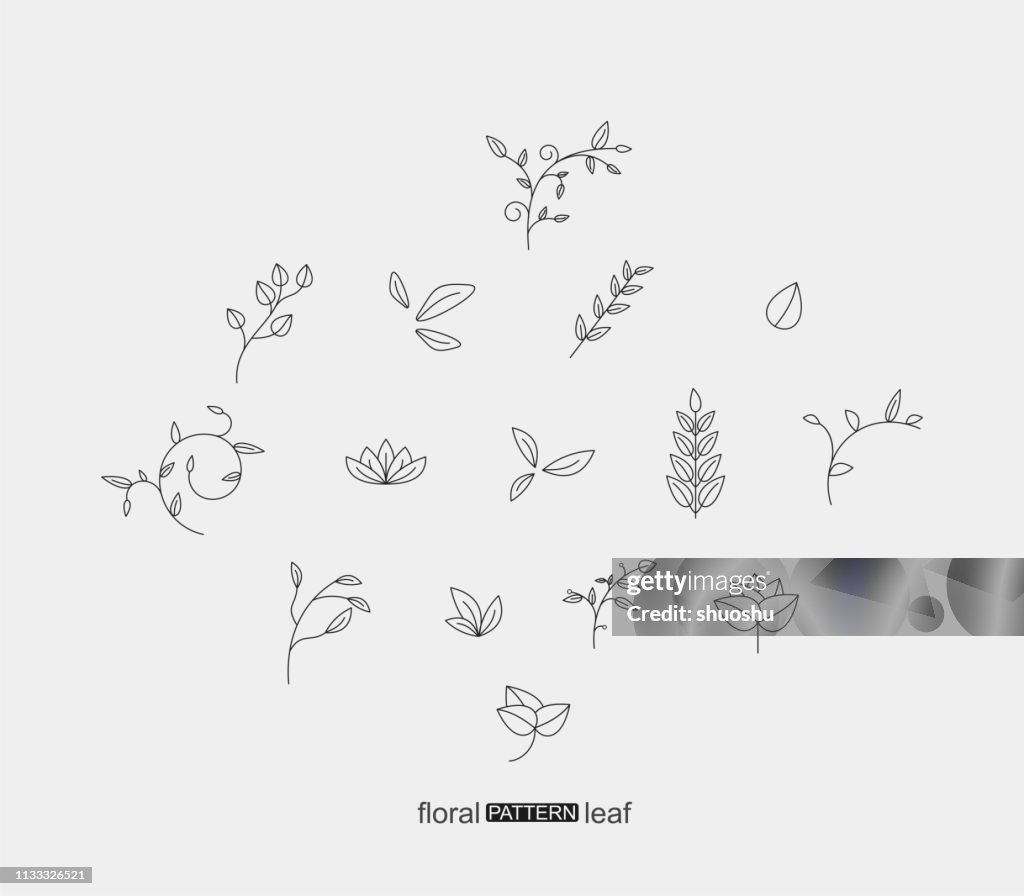 Set of plant floral and leaf pattern icon