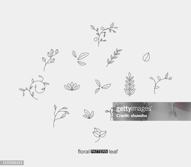set of plant floral and leaf pattern icon - line art stock illustrations