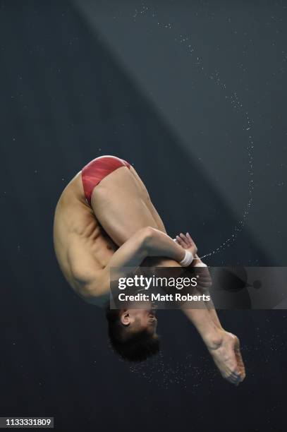 Jian Yang of China competes during the Men's 10m Platform Final on day three of the FINA Diving World Cup Sagamihara at Sagamihara Green Pool on...