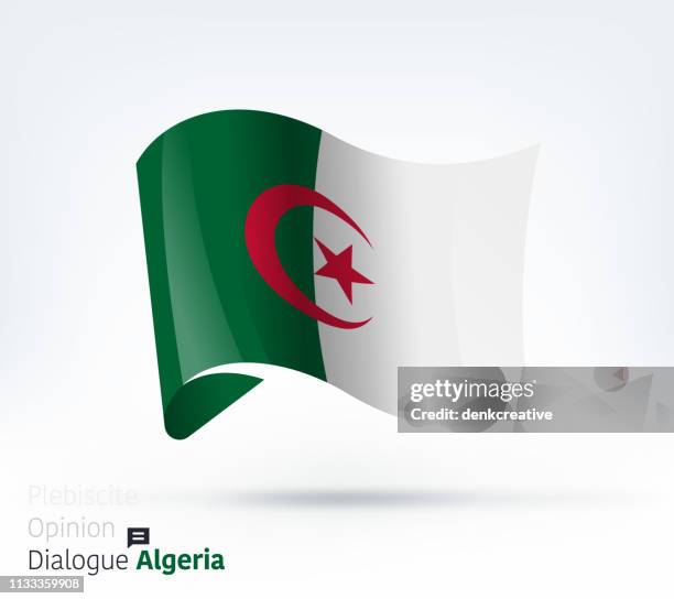 algeria flag international dialogue & conflict management - algeria elections flag stock illustrations